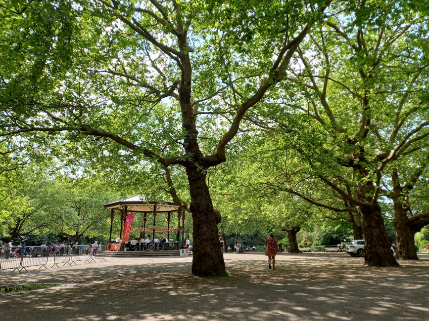 A park setting with large, mature trees featuring thick trunks and dense green foliage providing shade over a paved area. In the background, there is a small open-air bandstand or gazebo structure with a platform and a roof, surrounded by a metal railing. Several people are gathered around the bandstand, some seated and others standing, possibly local residents attending a community event. To the right, a person wearing casual clothing and a hat is walking across the paved area, which is partially shaded by the trees. In the distance, there are vehicles parked along the edge of the park, and the overall scene suggests a lively and green environment suitable for outdoor activities. This setting aligns with the type of location where a professional house and furniture removal service by Man and Van Southfields might operate when assisting clients with packing and relocation logistics in the Southfields or Wimbledon Park area.
